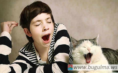 Почему мы зеваем? Объясняет невролог