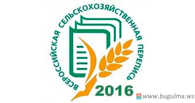 Началась подготовка к Всероссийской сельскохозяйственной переписи-2016
