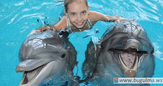 Не пропустите новинку летнего сезона – световое шоу «Морская мозаика» в Набережночелнинском дельфинарии.