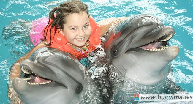 Не пропустите новинку летнего сезона – световое шоу «Морская мозаика» в Набережночелнинском дельфинарии