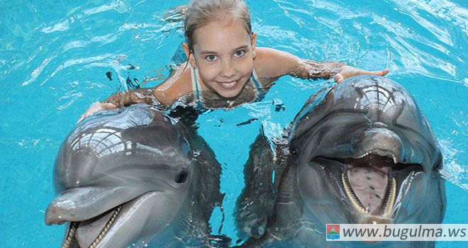 Новогодние программы Челнинского Дельфинария ждут своих зрителей!