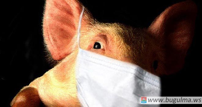 «Свиного» гриппа в Бугульме нет