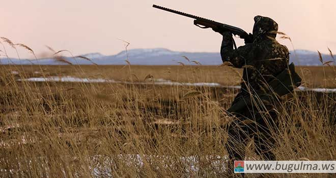 Сезон охоты в Татарстане будет открыт в конце апреля