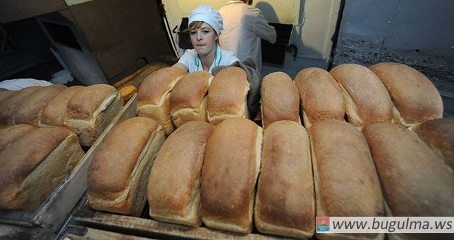 Татарстан планирует выделить средства для выпечки соцвидов хлеба