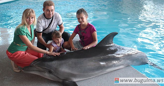 Семейный отдых в Челнинском дельфинарии - эмоции сближают!