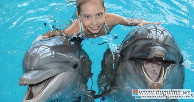 Не пропустите новинку летнего сезона в Набережночелнинском дельфинарии!