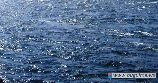 В Бугульминском районе в реке Бугульминский Зай обнаружено превышение ПДК по азоту нитритному в 17 раз