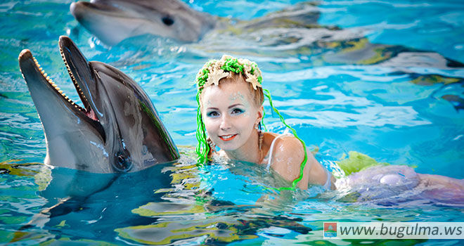 Успейте увидеть световое шоу «Морская мозаика» в Набережночелнинском дельфинарии!
