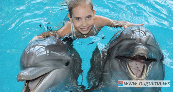 Приезжайте в Челнинский дельфинарий всей семьей, подарите любимым незабываемые эмоции!