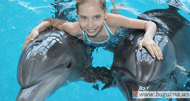 Долгожданные каникулы вместе с дельфинами!