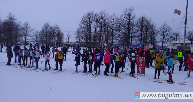 В спортивно-оздоровительном комплексе «Лыжная база» состоялась эстафета в рамках закрытия спортивного сезона