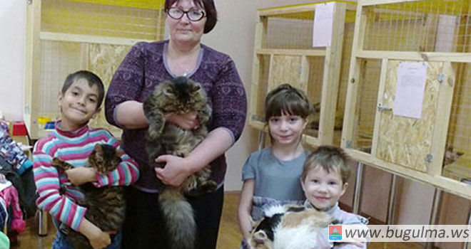 Пушистое чудо: воспитанники бугульминского приюта посетили выставку кошек