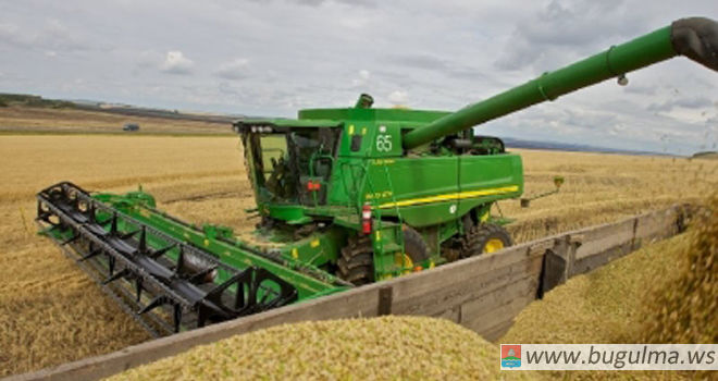 Марат Ахметов: В настоящее время убрано около 70 процентов площадей зерновых