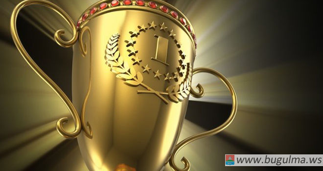 Общественная организация «Женсовет Бугульминского района» стала победителем конкурса «Лидер года-2017»