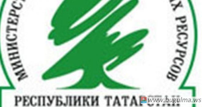 Министерство экологии и природных ресурсов Республики Татарстан
