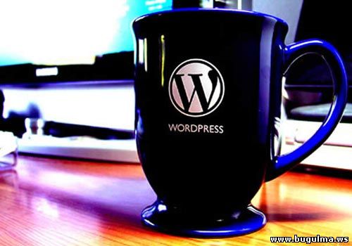 wordpress