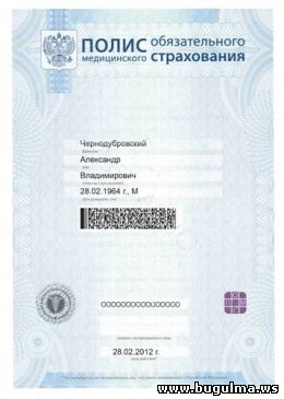 полис