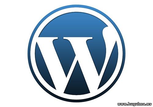 wordpress