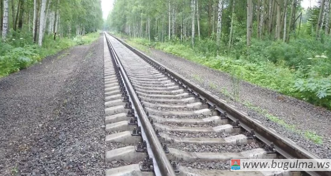 В Татарстане прошел экологический рейд вдоль полосы отвода железной дороги.