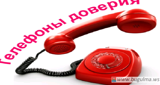 Телефон доверия Росреестра РТ по вопросам противодействия коррупции