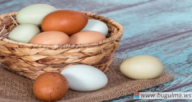 УФАС заподозрило торговые сети в повышении розничных цен на куриные яйца.