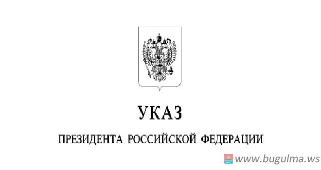 Президент России освободил от должностей замглавы МВД РТ и руководителя СК Татарстана.