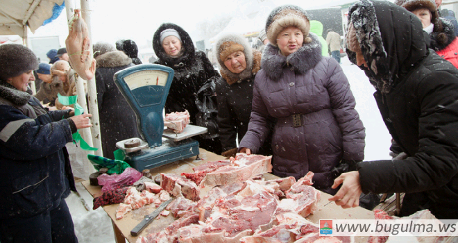 Продукцию на 920 тысяч рублей реализовали бугульминские сельхозпроизводители на прошедшей ярмарке