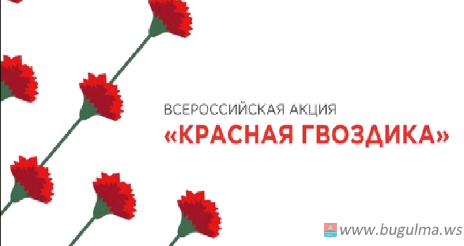 Всероссийская акция «Красная гвоздика» завершится в Татарстане 22 июня.