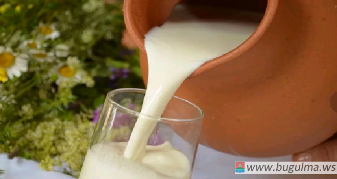 Татарстан впервые перешагнул рубеж по производству 4 000 тонн молока в сутки.