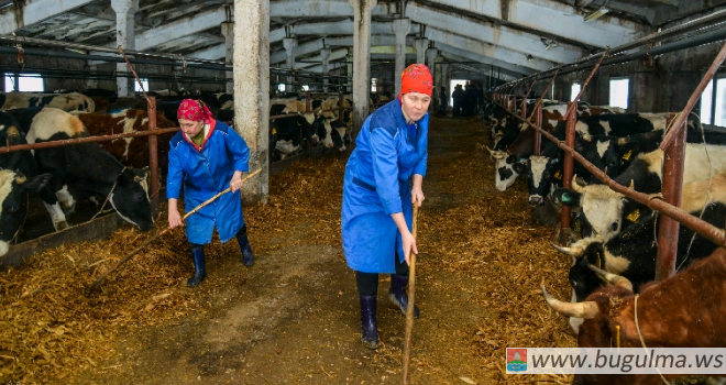 «Развитие сельскохозяйственной потребительской кооперации в Республике Татарстан на 2017-2020 годы».