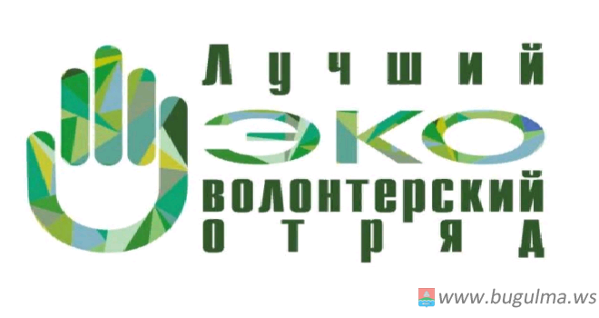 Татарстанцев приглашают к участию во всероссийском конкурсе «Лучший эковолонтерский отряд» .