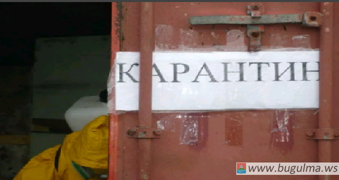 В одной из деревень Татарстана установлен карантин