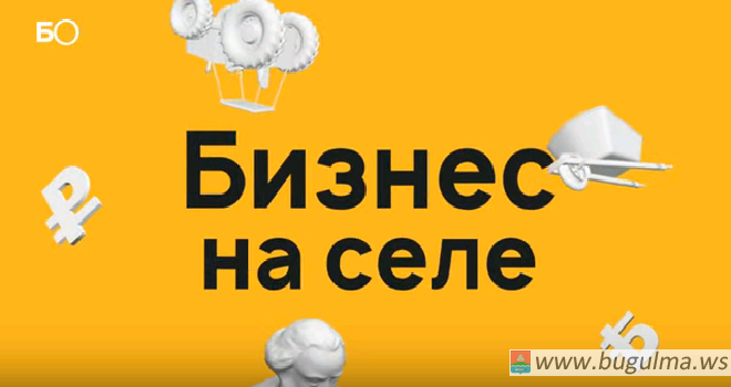 «Я не бизнесмен»: «арабская» кровь на лошадиных ранчо в Бугульме