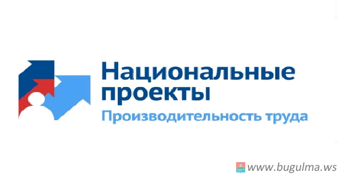 «Производительность труда и поддержка занятости» в 2020 году.