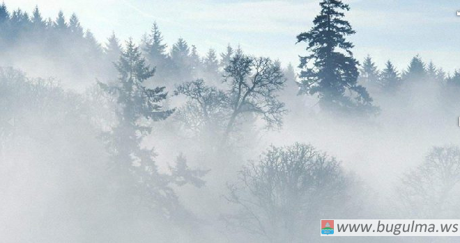 14 февраля в Бугульме ожидается туман.