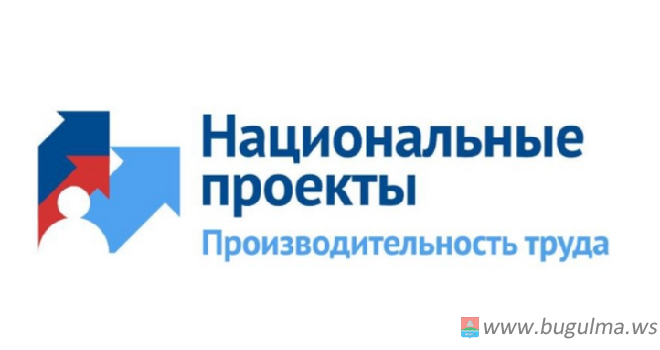 «Производительность труда и поддержка занятости».