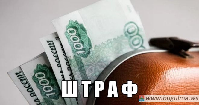 СПЭК Бугульминского района: за нарушение законодательства двум бугульминцам назначен штраф