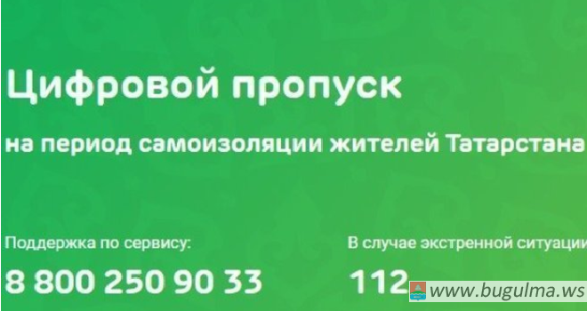 В Татарстане появился новый способ получения пропусков.