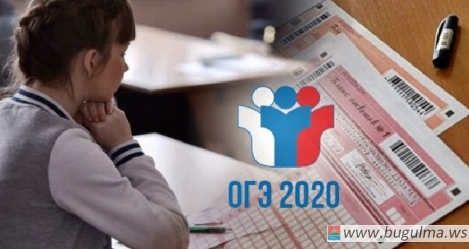 Школьники не будут сдавать ОГЭ по выбору в 2020 году, заявили в Рособрнадзоре.
