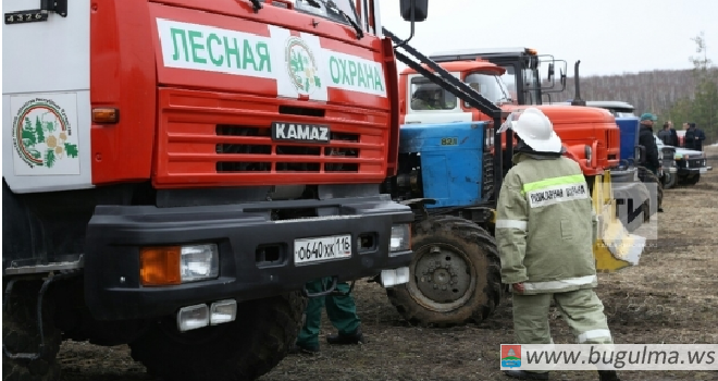 Урман хуҗалыгы министры: Соңгы елларда Татарстан урманнарында янгын чыкканы юк.