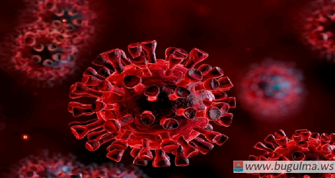 За последние сутки в Татарстане зафиксировано 52 случая коронавирусной инфекции.