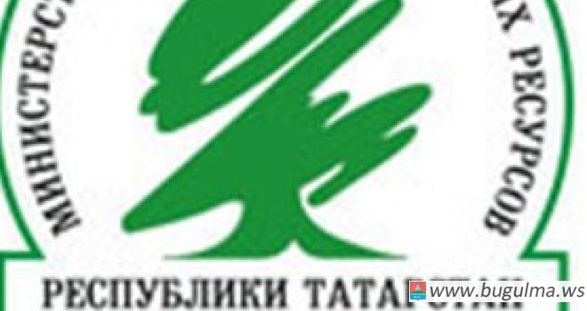 По федеральной программе в Татарстане обновят 19 гидротехнических сооружений.