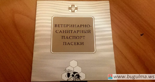 Ветслужба РТ объяснила необходимость ветеринарно-санитарного паспорта пасеки.