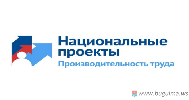 Национальный проект «Производительность труда и поддержка занятости».