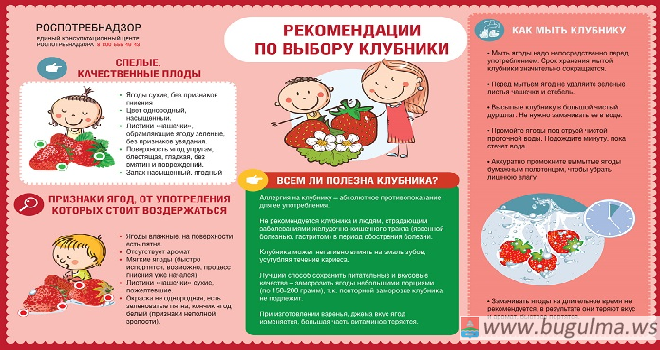 О рекомендациях по выбору клубники.