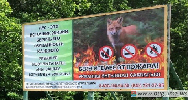 В Татарстане с начала года возвели 50 километров противопожарных дорог.