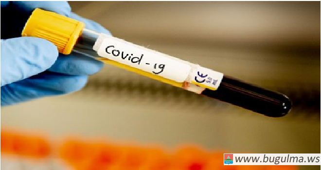 За прошедшую неделю в Бугульминском районе зарегистрировано 2 случая коронавирусной инфекции.