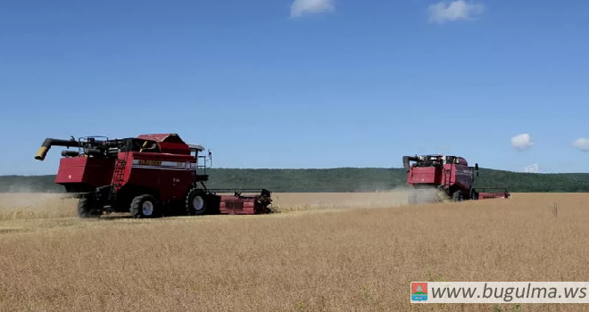 В Татарстане аграрии уже намолотили более 40 тыс. тонн зерна.