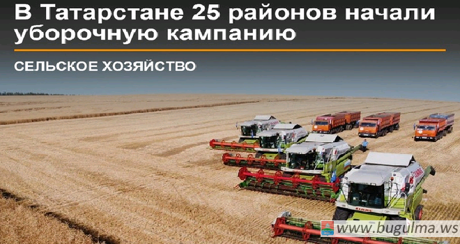 В Татарстане 25 районов приступили к уборке зерновых и зернобобовых культур.