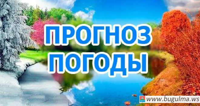 Завтра в Татарстане воздух прогреется до 23 градусов.